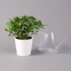 Gardenie, Mit Keramiktopf Dallas Weiß, Topf-Ø 13 Cm -LECHUZA || Wagner Verkaufsgeschäft 0210130060 Gardenia jasminoides mit Topf Dallas w 13cm T Dallas weiss1 122981