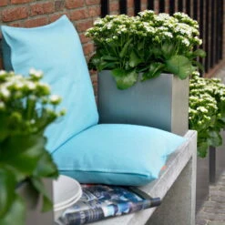 Kalanchoe 'Calandiva'®, Weiß, Topf-Ø 12 Cm, Höhe Ca. 27,5 Cm, 6er-Set -LECHUZA || Wagner Verkaufsgeschäft 0210350168 Kalanchoe Cal weiss2