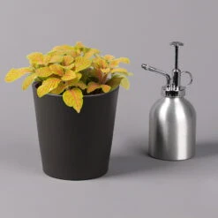 Fittonia 'Skeleton' Inkl. Keramiktopf Dallas Anthrazit, Topf-Ø 12 Cm, 3er-Set 13 Fittonia 'Skeleton' Inkl. Keramiktopf Dallas Anthrazit, Topf-Ø 12 Cm, 3er-Set -LECHUZA || Wagner Verkaufsgeschäft 0220108275 Fittonia Skeleton Topf Dallas anthrazit 3