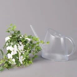 Hedera Helix In Keramiktopf Dallas Weiß, Topf-Ø 12/13 Cm, 2er-Set 13 Hedera Helix In Keramiktopf Dallas Weiß, Topf-Ø 12/13 Cm, 2er-Set -LECHUZA || Wagner Verkaufsgeschäft 0220650241 Hedera gruen in Topf Dallas weiss 3