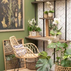 Phalaenopsis, Weißtöne, 2 Rispen, Topf-Ø 9 Cm, Höhe Ca. 30 Cm -LECHUZA || Wagner Verkaufsgeschäft 0290100048 3