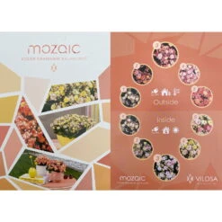 Kalanchoe 'Mozaic', Wechselfarbig, Topf-Ø 12 Cm, Höhe Ca. 22 Cm, 6er-Set -LECHUZA || Wagner Verkaufsgeschäft 0610103650 Outdoor Kalanchoe Mozaic wechselfarbig 6er Set 12 113797