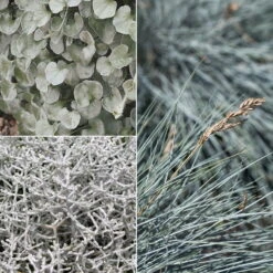 Mixtopf 'Silberstruktur', 3er-Set, Grau-silber, Topf 13 Cm Ø 18 Mixtopf 'Silberstruktur', 3er-Set, Grau-silber, Topf 13 Cm Ø -LECHUZA || Wagner Verkaufsgeschäft 0610180261 0610180262 Mixtopf Mixschale Silberstruktur 95076