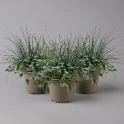 Mixtopf 'Silberstruktur', 3er-Set, Grau-silber, Topf 13 Cm Ø