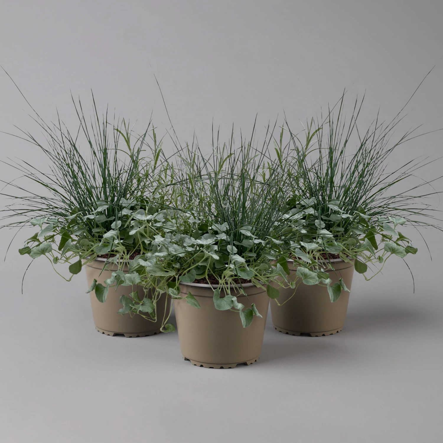 Mixtopf 'Silberstruktur', 3er-Set, Grau-silber, Topf 13 Cm Ø 3 Mixtopf 'Silberstruktur', 3er-Set, Grau-silber, Topf 13 Cm Ø