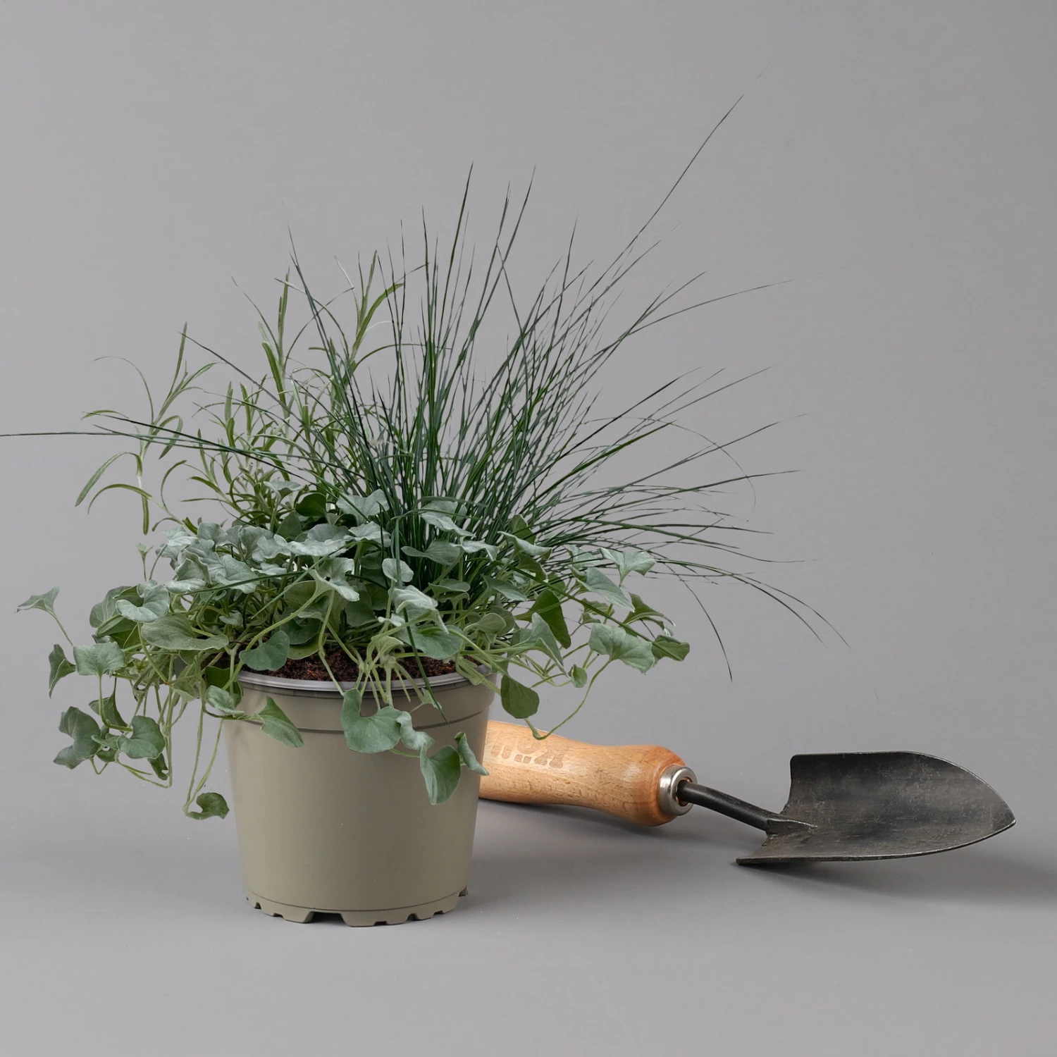 Mixtopf 'Silberstruktur', 3er-Set, Grau-silber, Topf 13 Cm Ø 5 Mixtopf 'Silberstruktur', 3er-Set, Grau-silber, Topf 13 Cm Ø – Bild 3