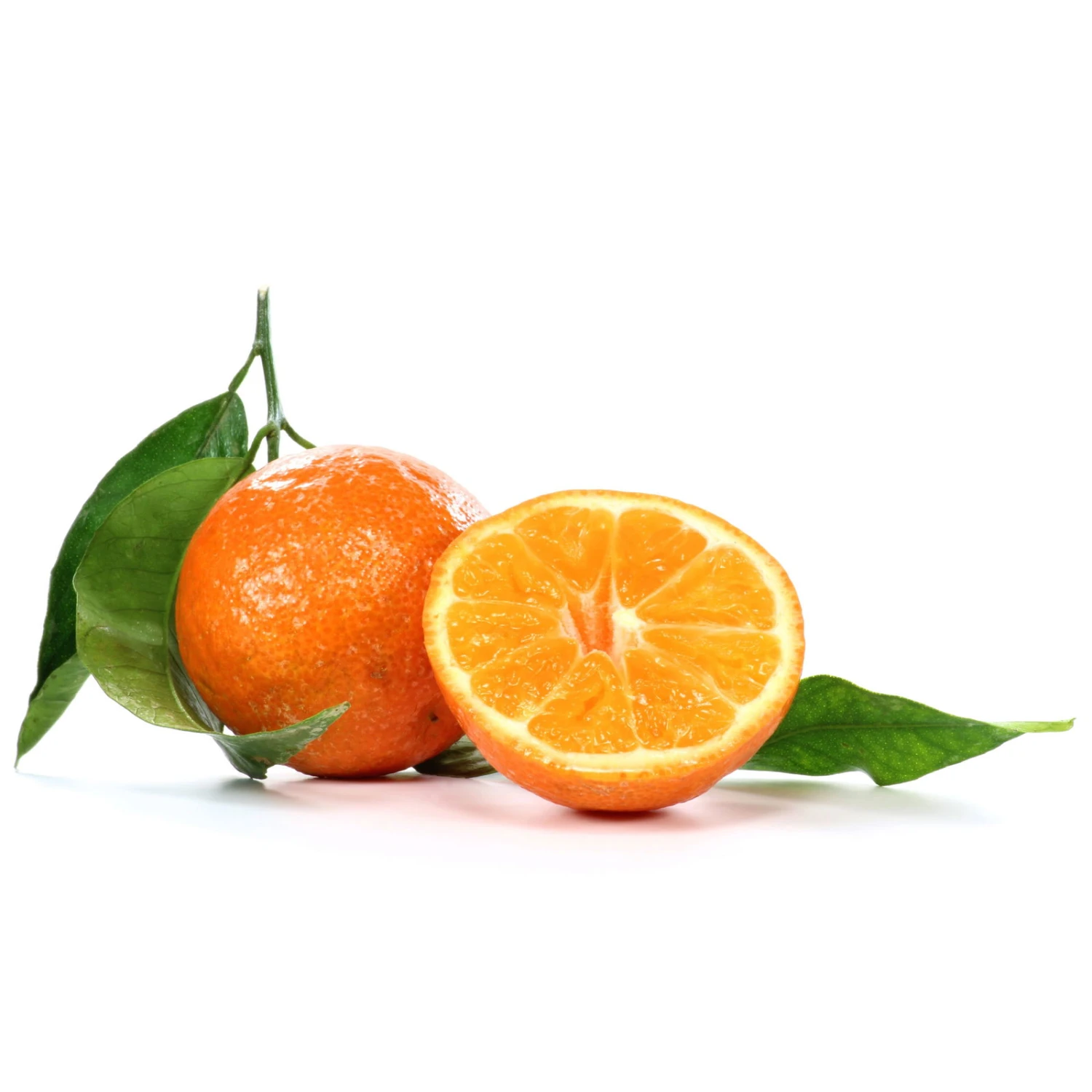 Clementine, Stamm, Topf-Ø Ca. 22 Cm, Höhe Ca. 70 - 80 Cm 7 Clementine, Stamm, Topf-Ø Ca. 22 Cm, Höhe Ca. 70 - 80 Cm – Bild 5