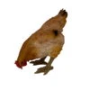 Dekofigur Henne Pickend, Braun, 34 X 17 X 33 Cm -LECHUZA || Wagner Verkaufsgeschäft 0980306802 Henne pickend H34 x B14 x T33 cm 122193