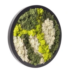 Rundes Moosbild Mit Schwarzem Rahmen, 38 Cm Ø -LECHUZA || Wagner Verkaufsgeschäft 1530150084 Moosbild rund 38 cm 1 115775