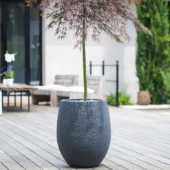 Pflanzgefäß Graphit Egg, Anthrazit, Wasserdicht, Robust -LECHUZA || Wagner Verkaufsgeschäft 3210103698 Pflanzgefaess Graphit Egg anthrazit D50xH60cm 53Ltr 1 62076