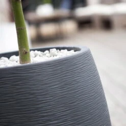 Pflanzgefäß Graphit Egg, Anthrazit, Wasserdicht, Robust -LECHUZA || Wagner Verkaufsgeschäft 3210103698 Pflanzgefaess Graphit Egg anthrazit D50xH60cm 53Ltr 2 62075