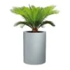 Pflanzgefäß 'Riva High', Rund, Steingrau, Kunststoff 2 Pflanzgefäß 'Riva High', Rund, Steingrau, Kunststoff -LECHUZA || Wagner Verkaufsgeschäft 3210103970 3210103971 Pflanzgefaess Riva High1 97808