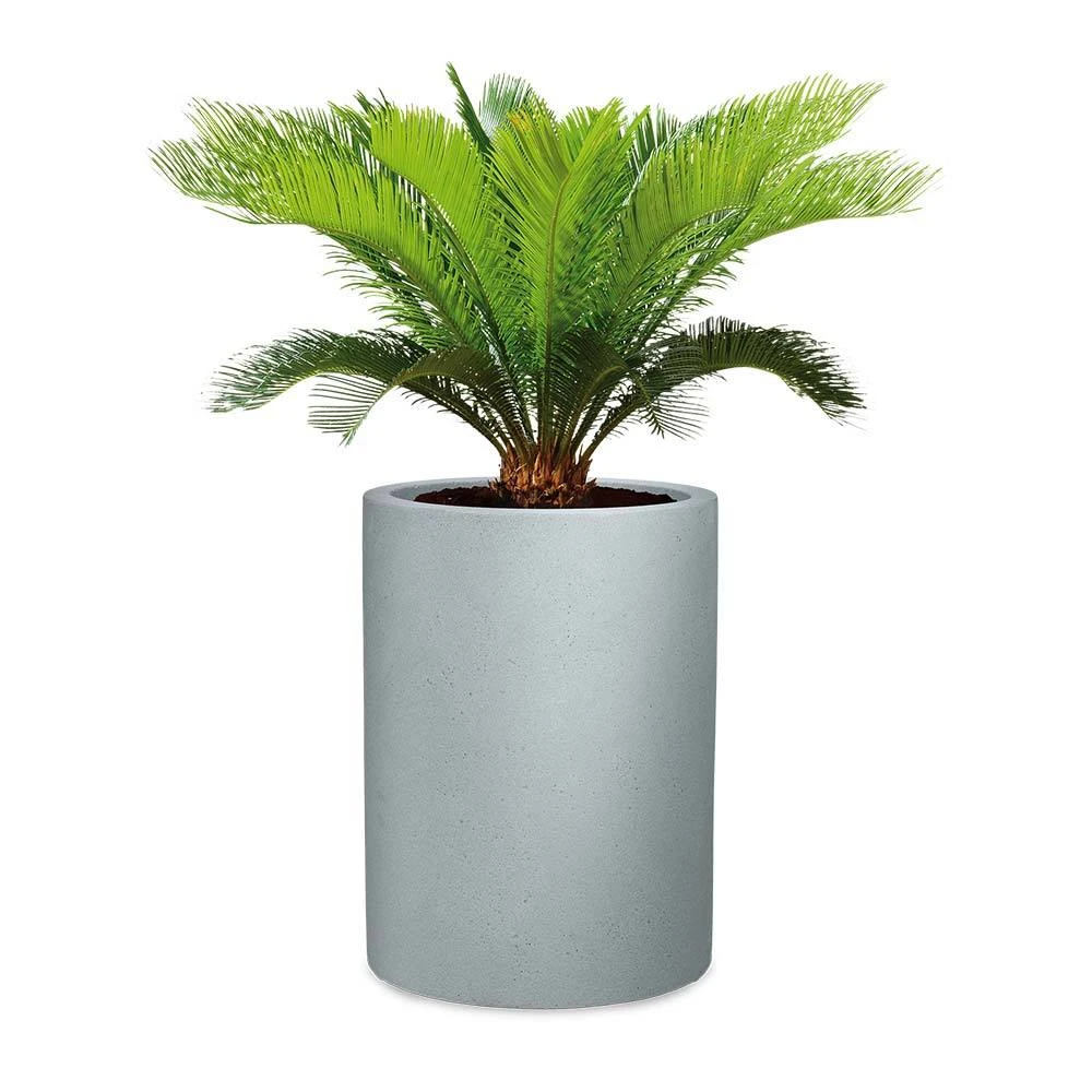 Pflanzgefäß 'Riva High', Rund, Steingrau, Kunststoff 3 Pflanzgefäß 'Riva High', Rund, Steingrau, Kunststoff