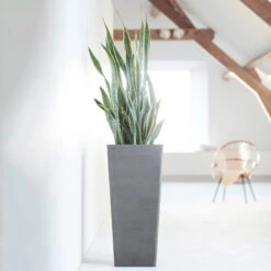 Pflanzgefäß 'Rotterdam MidHigh', Grau 7 Pflanzgefäß 'Rotterdam MidHigh', Grau -LECHUZA || Wagner Verkaufsgeschäft 3210104153 pflanzgefaess rotterdam high 1 117471