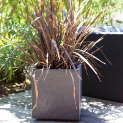 Pflanztrog 'Volcania Dado', Anthrazit, L 39,5 X B 39,5 X H 43,5 Cm -LECHUZA || Wagner Verkaufsgeschäft 3230101084 Pflanztrog Volcania Dado anthrazit 39x39xH43cm 31Ltr6 75428