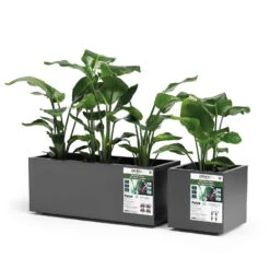 Pflanzkasten 'Kebe', Anthrazit, 35 Liter, 39,5 X 39,5 X 39,5 Cm -LECHUZA || Wagner Verkaufsgeschäft 3230101146 3230101148 Kebe anthrazit 109322