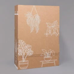 Philodendron 'Brasil' In Keramiktopf Dallas Anthrazit, Topf-Ø 12cm, 2er-Set -LECHUZA || Wagner Verkaufsgeschäft B2 02 Karton Sets mit Keramik 1 126161 10