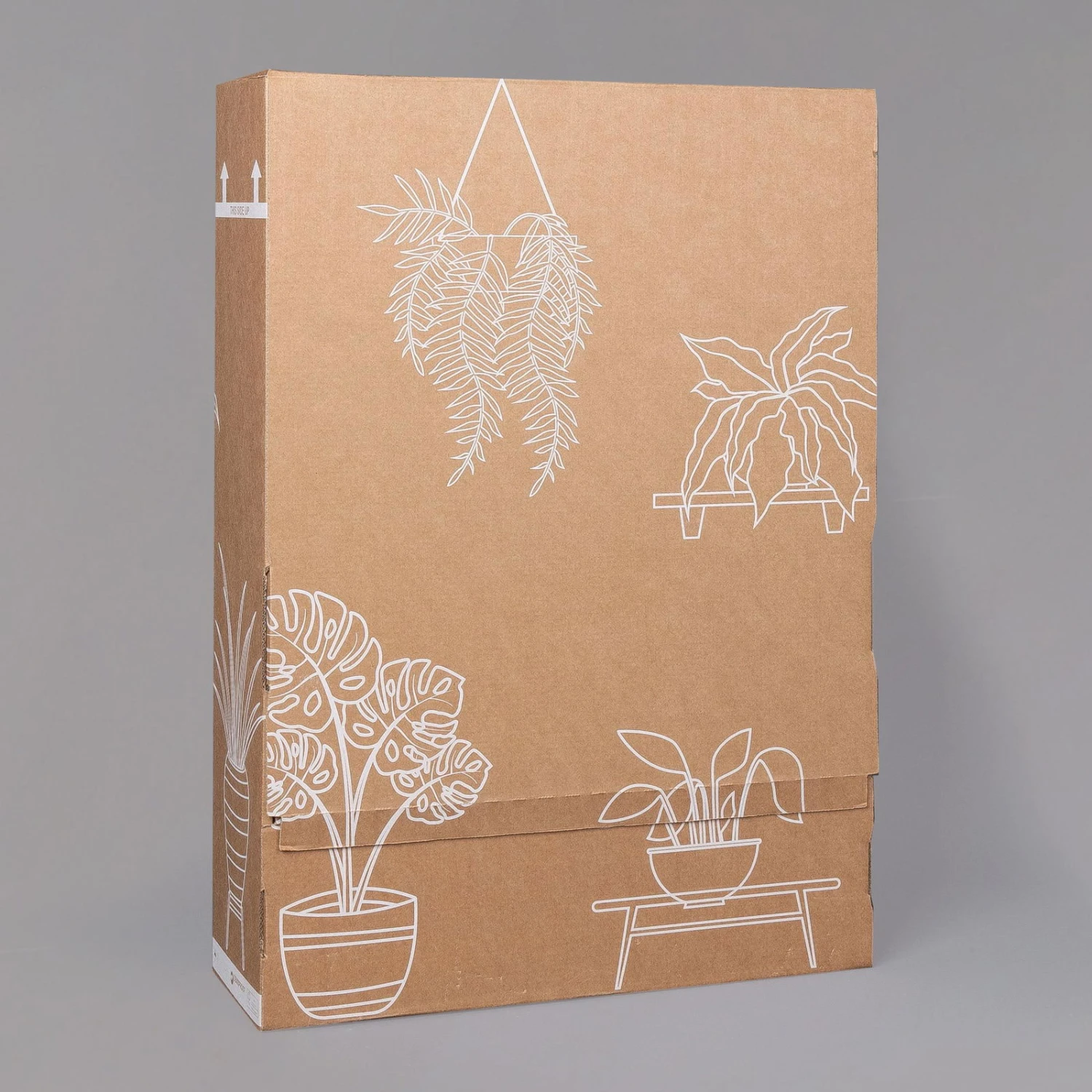 Dreimasterblume In Keramiktopf Weiß, Nach Verfügbarkeit, Topf-Ø 12 Cm, 3er-Set 10 Dreimasterblume In Keramiktopf Weiß, Nach Verfügbarkeit, Topf-Ø 12 Cm, 3er-Set – Bild 8