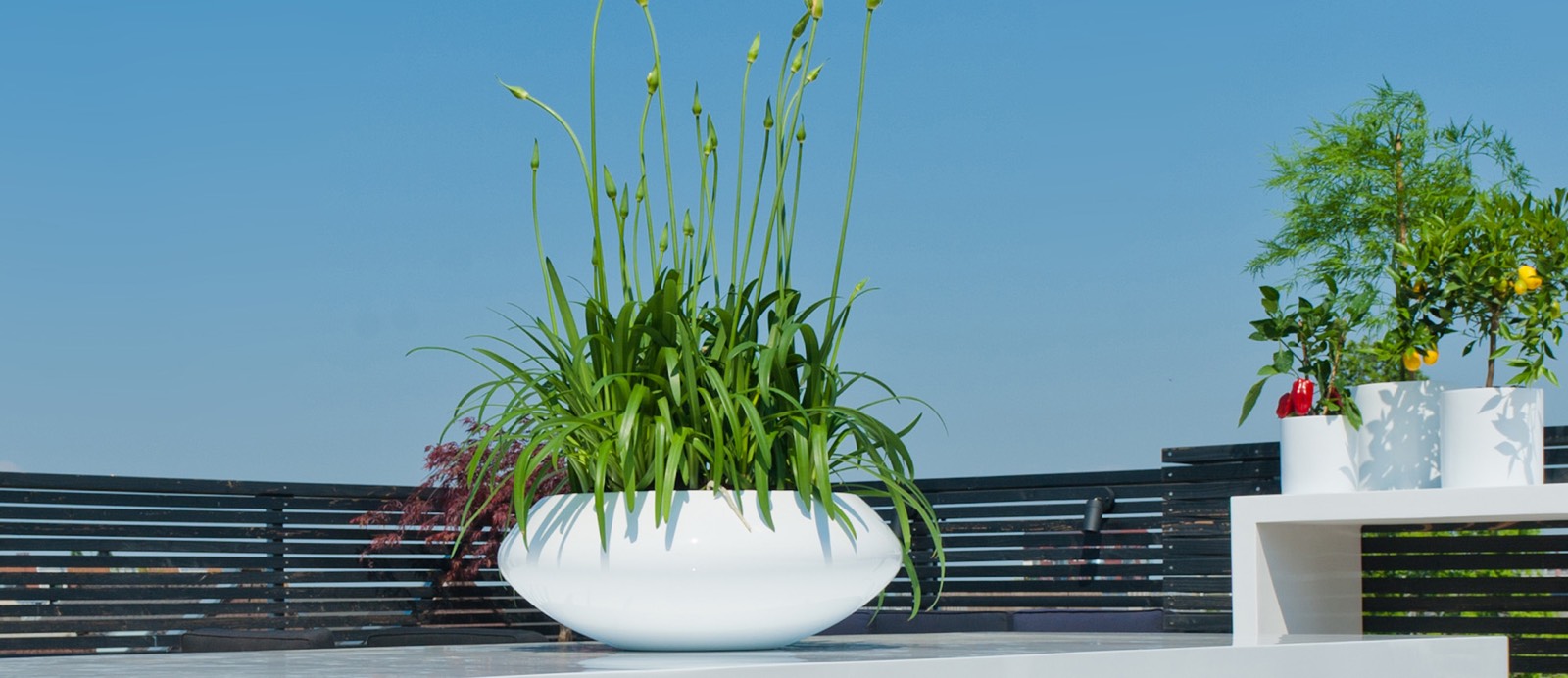 Titelseite 9 Titelseite -LECHUZA || Wagner Verkaufsgeschäft blumenkubeln 5